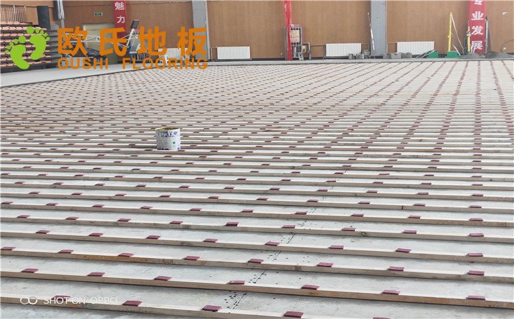 西寧市世紀職業(yè)技術(shù)學(xué)校籃球訓(xùn)練館木地板圖片